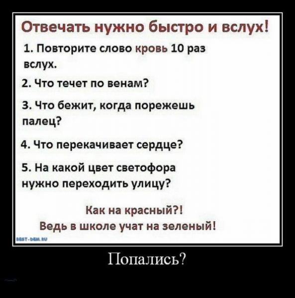 Прикрепленное изображение: 01.jpg