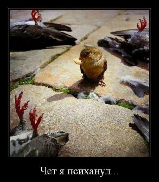 Прикрепленное изображение: 03.jpg