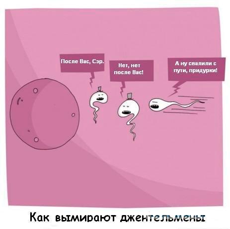 Прикрепленное изображение: 00.jpg