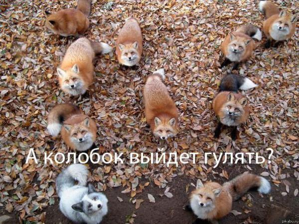 Прикрепленное изображение: 07.jpg