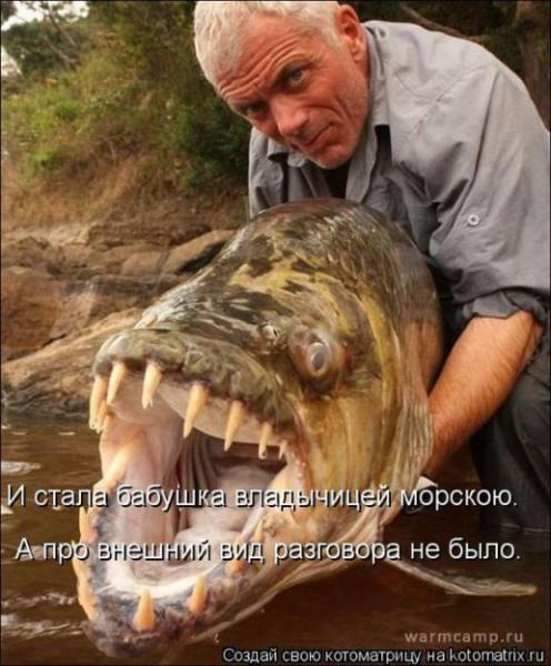 Прикрепленное изображение: 03.jpg