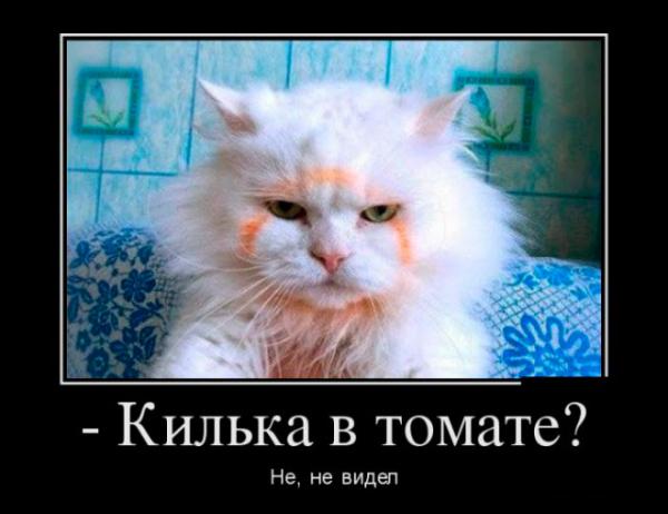 Прикрепленное изображение: 01.jpg