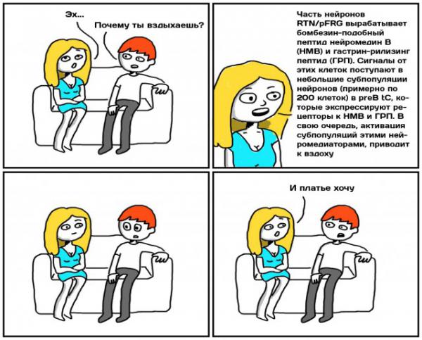 Прикрепленное изображение: 7156332.jpg