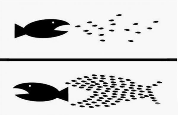 Прикрепленное изображение: 9180953.jpg