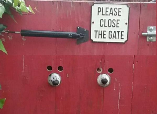 Прикрепленное изображение: 9217493.jpg