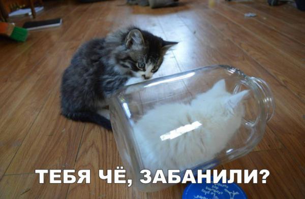 Прикрепленное изображение: 11052045.jpg