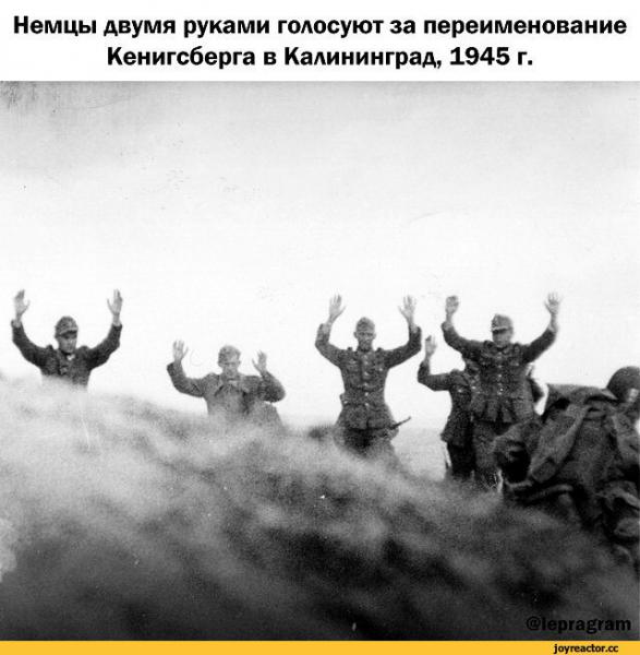 Прикрепленное изображение: 1974804.jpeg
