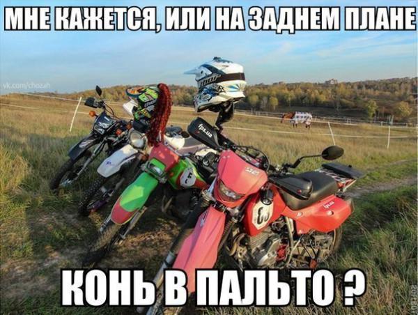 Прикрепленное изображение: 00.jpg