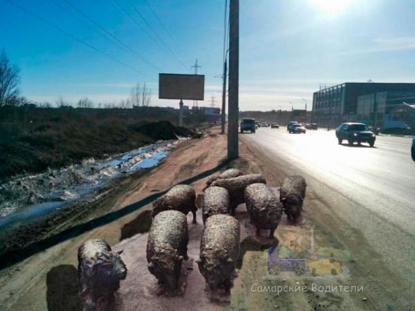 Прикрепленное изображение: 5156931.jpg