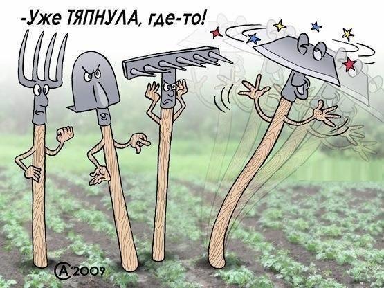 Прикрепленное изображение: 01.jpg