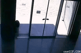 Прикрепленное изображение: 00.gif
