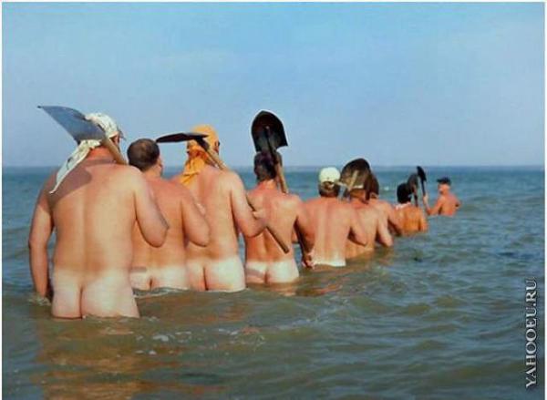 Прикрепленное изображение: image.jpg