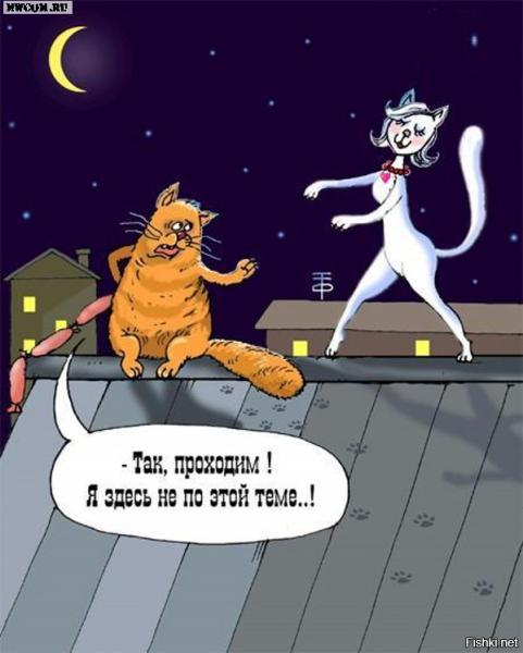 Прикрепленное изображение: 5.jpg