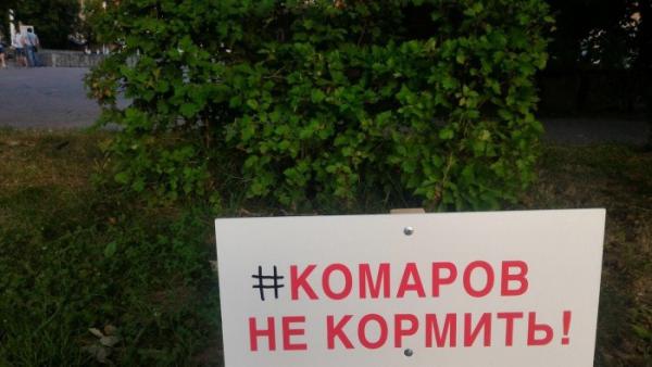 Прикрепленное изображение: 0.jpg