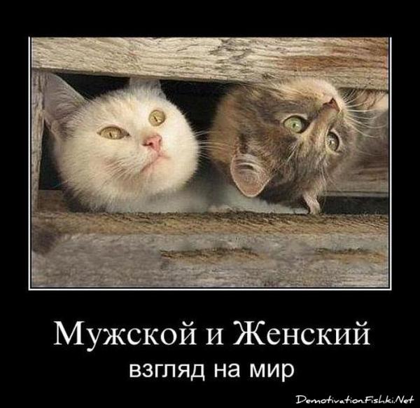 Прикрепленное изображение: 6.jpg