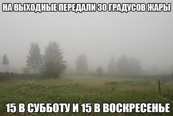 Прикрепленное изображение: 5828530.jpg