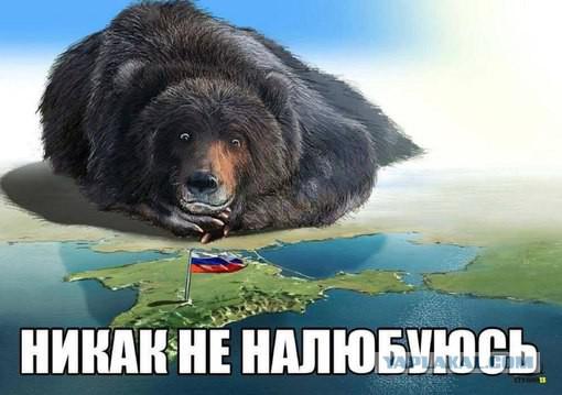 Прикрепленное изображение: 5875337.jpg