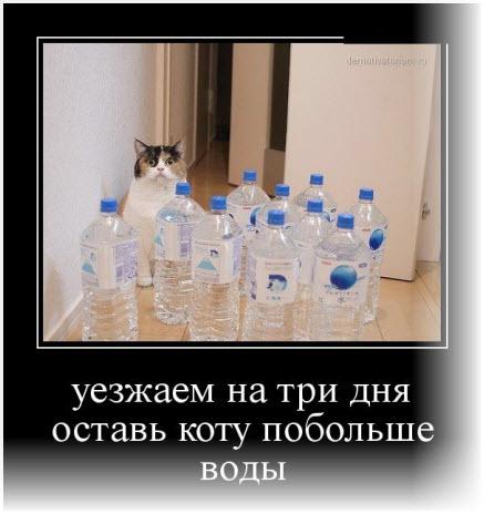 Прикрепленное изображение: post-3579-0-03324100-1437634520.jpg
