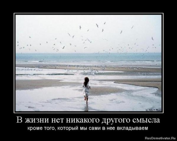 post-7-0-88019900-1437667265_thumb.jpg