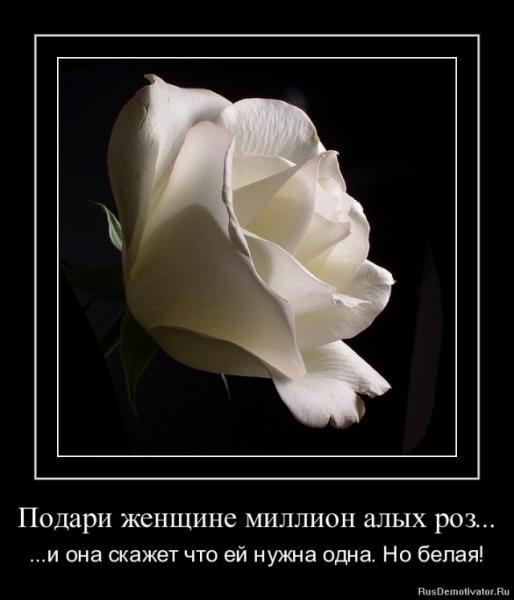 post-7-0-95996500-1437667277_thumb.jpg