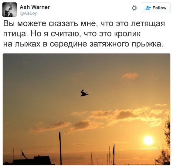 Прикрепленное изображение: 8039148.jpg