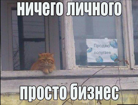 Прикрепленное изображение: 3.jpg