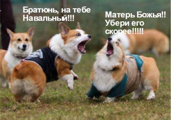 Прикрепленное изображение: 8094312.jpg