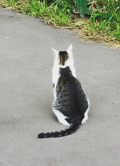 Прикрепленное изображение: 01.jpg