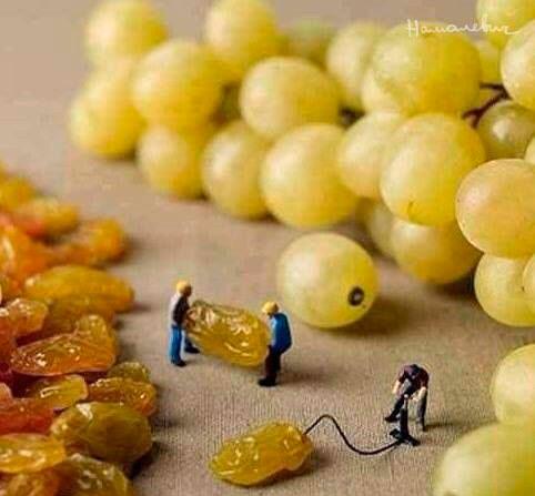 Прикрепленное изображение: 00.jpg