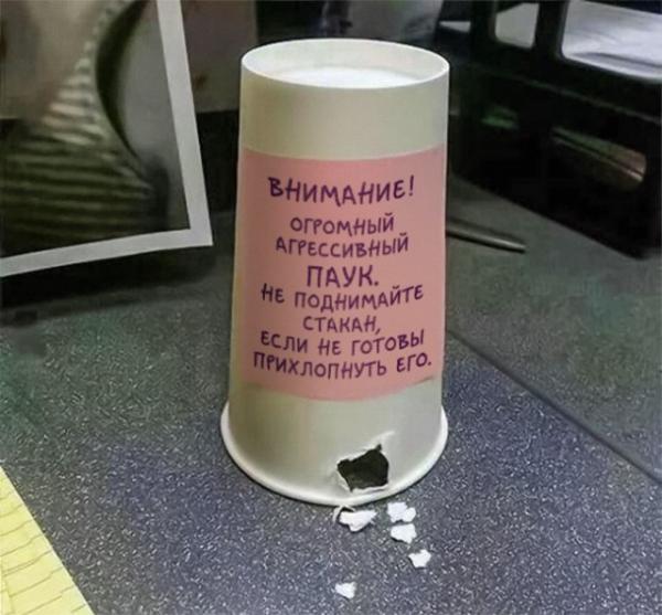 Прикрепленное изображение: 10363285.jpg