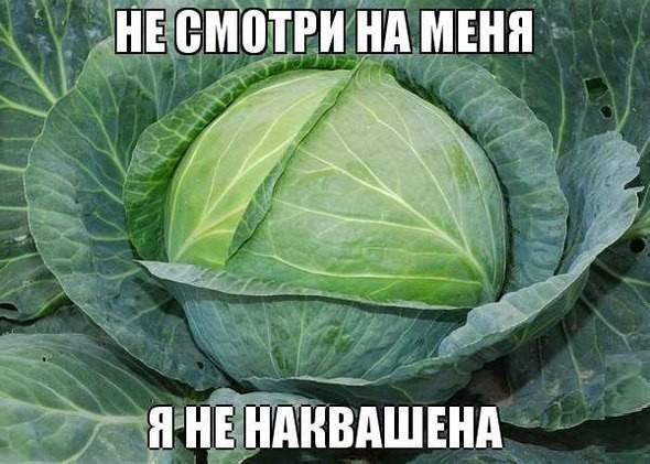 Прикрепленное изображение: 01.jpg