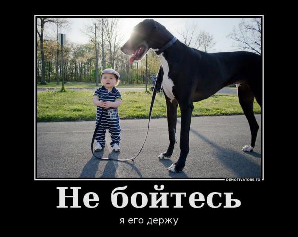 Прикрепленное изображение: 01.jpg