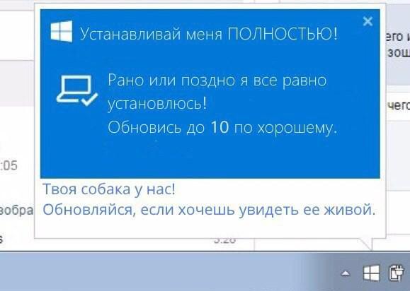 Прикрепленное изображение: 6507904.jpg