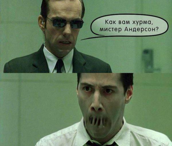 Прикрепленное изображение: 8937484.jpg